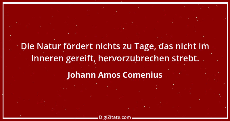 Zitat von Johann Amos Comenius 24