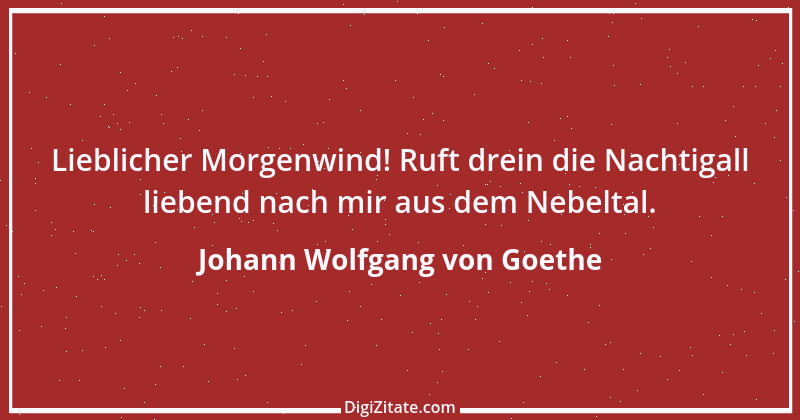 Zitat von Johann Wolfgang von Goethe 3913