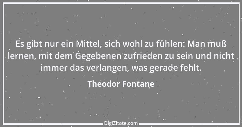 Zitat von Theodor Fontane 176