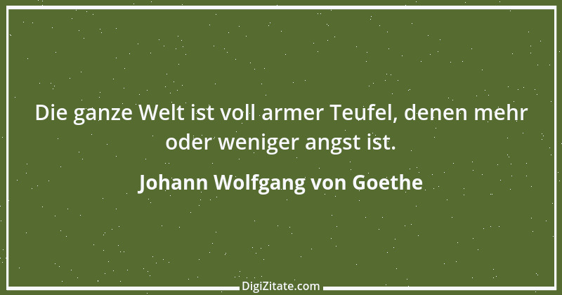 Zitat von Johann Wolfgang von Goethe 3745