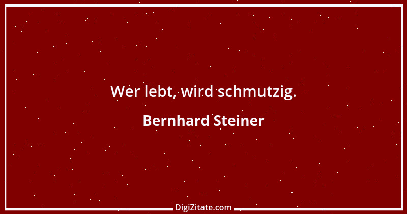 Zitat von Bernhard Steiner 110