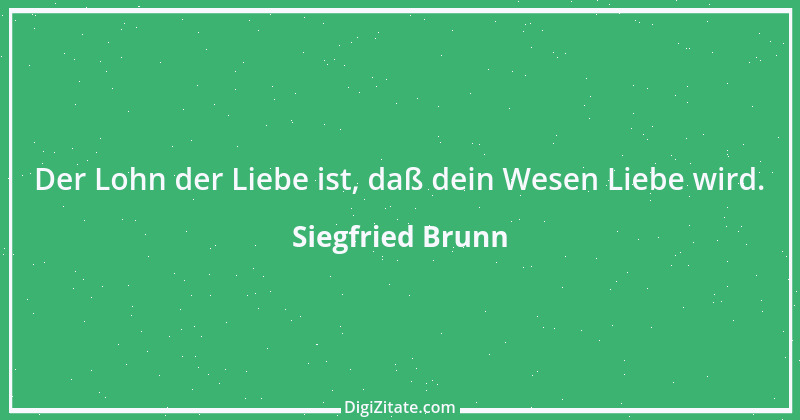 Zitat von Siegfried Brunn 13