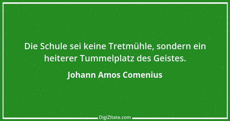 Zitat von Johann Amos Comenius 29