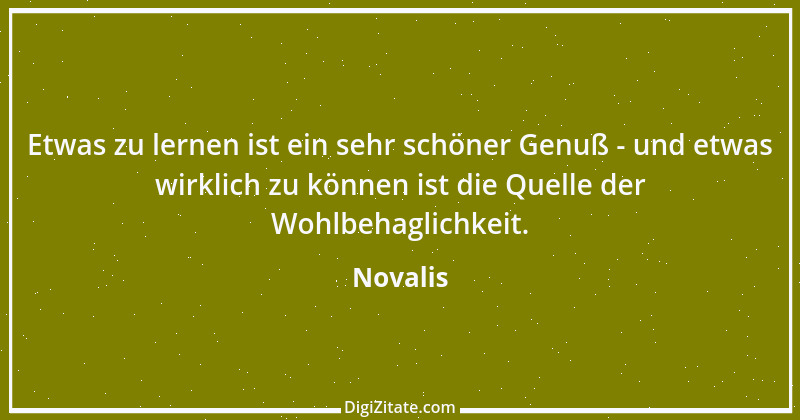 Zitat von Novalis 243