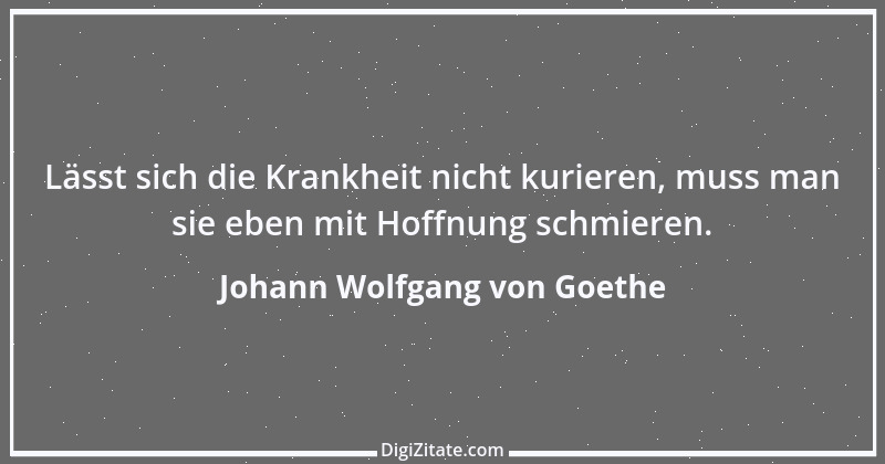 Zitat von Johann Wolfgang von Goethe 921