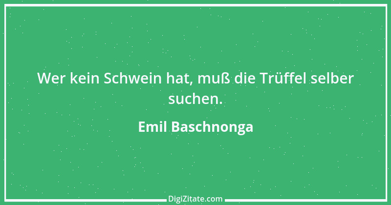 Zitat von Emil Baschnonga 318