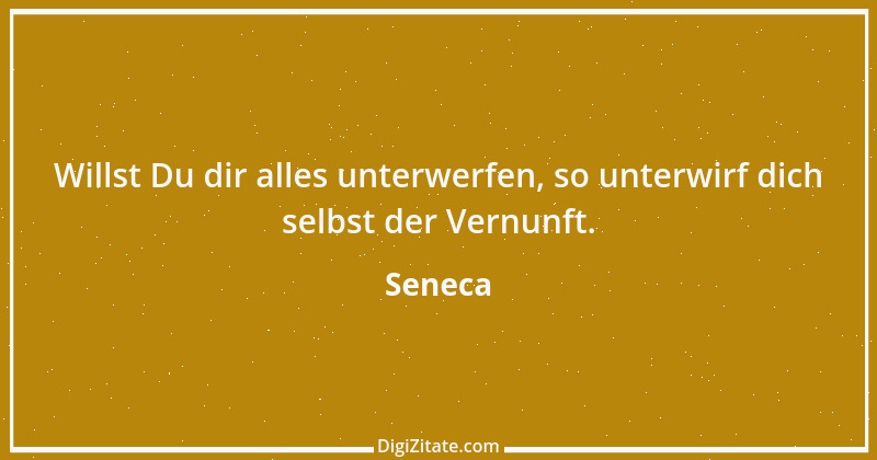 Zitat von Seneca 58