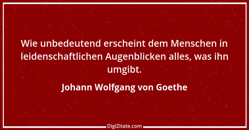 Zitat von Johann Wolfgang von Goethe 923