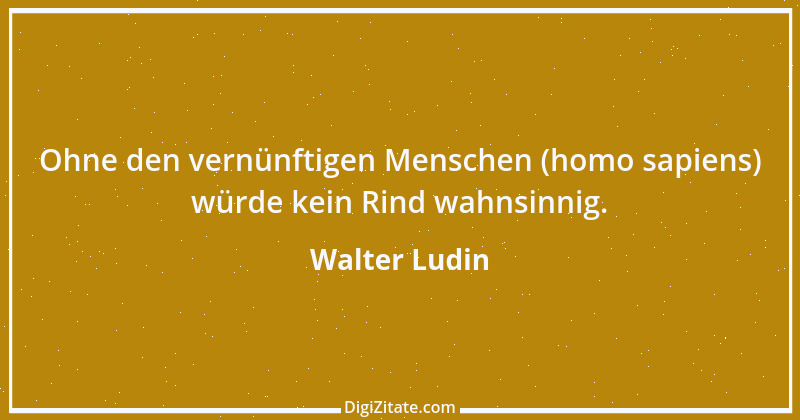 Zitat von Walter Ludin 1426