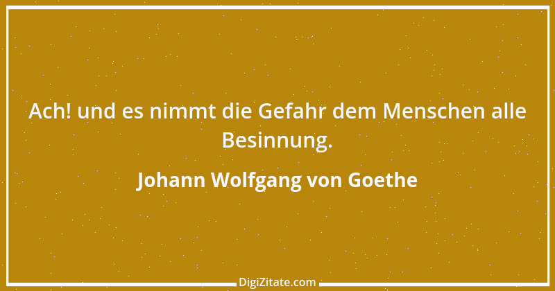 Zitat von Johann Wolfgang von Goethe 2925