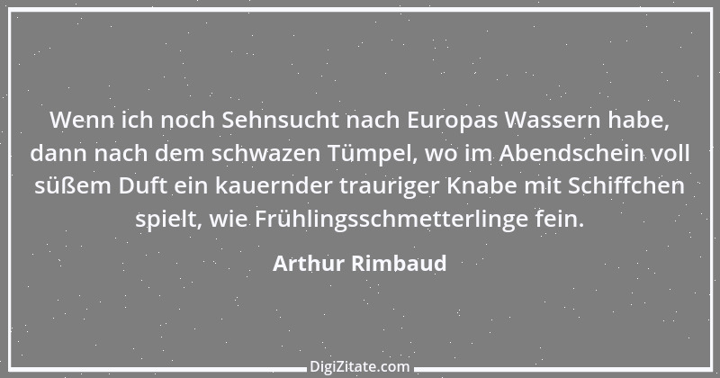 Zitat von Arthur Rimbaud 16