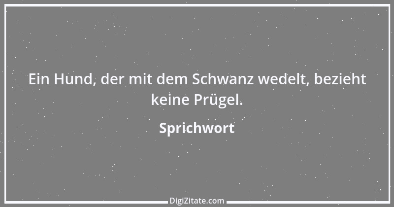 Zitat von Sprichwort 9918