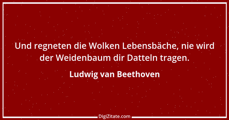 Zitat von Ludwig van Beethoven 65