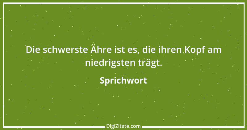 Zitat von Sprichwort 921