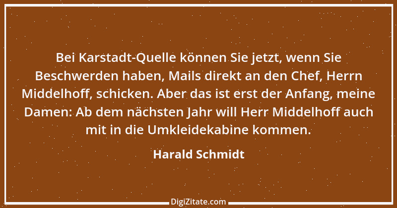 Zitat von Harald Schmidt 248