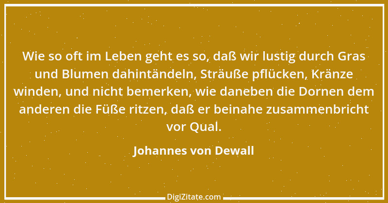 Zitat von Johannes von Dewall 1