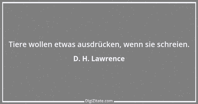 Zitat von D. H. Lawrence 44