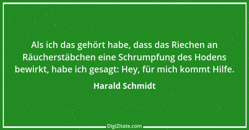 Zitat von Harald Schmidt 250