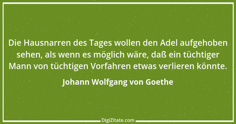 Zitat von Johann Wolfgang von Goethe 933