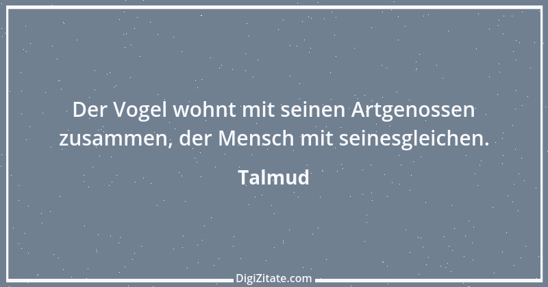 Zitat von Talmud 240