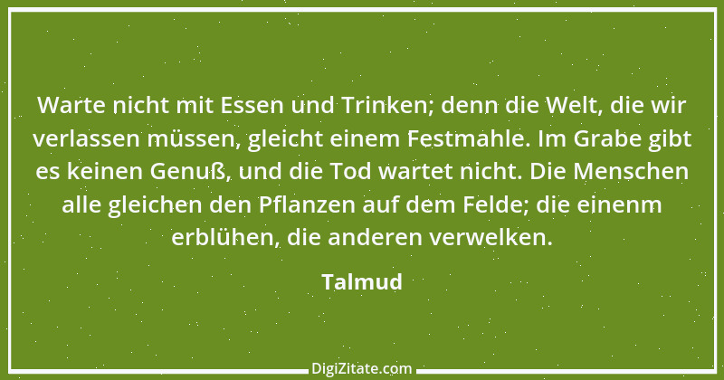 Zitat von Talmud 241