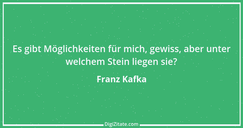 Zitat von Franz Kafka 102