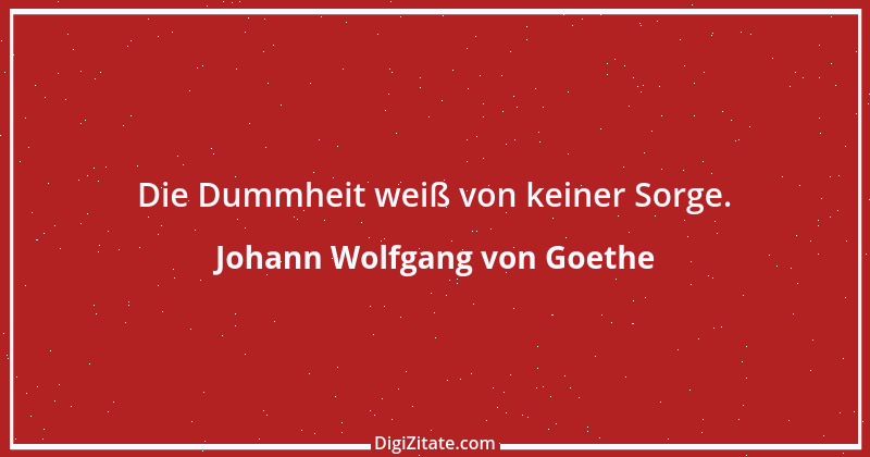 Zitat von Johann Wolfgang von Goethe 747