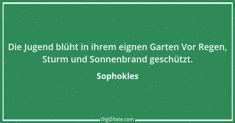 Zitat von Sophokles 209