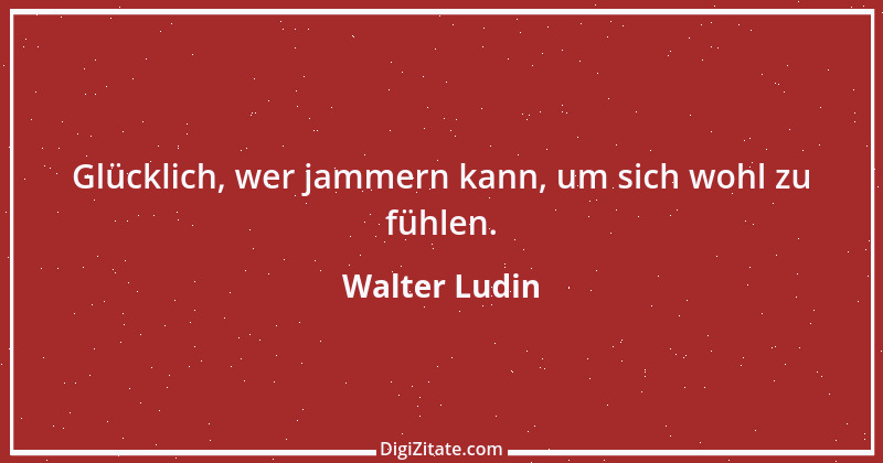 Zitat von Walter Ludin 1440