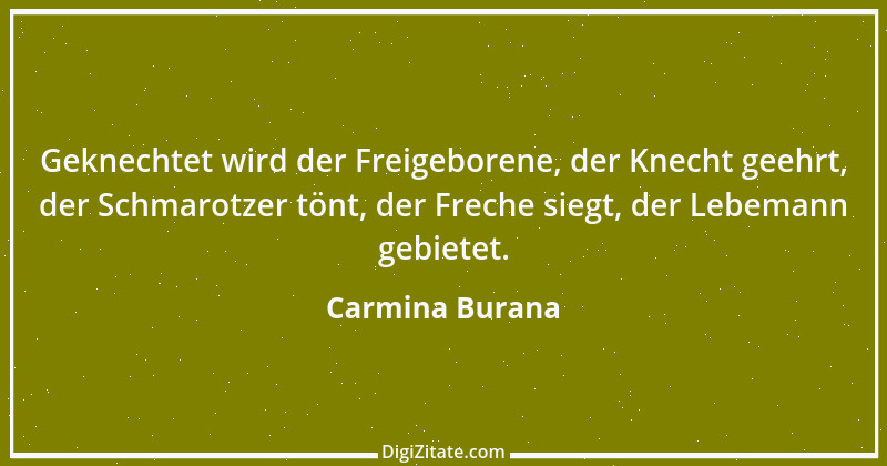 Zitat von Carmina Burana 4