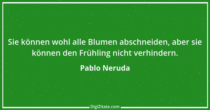 Zitat von Pablo Neruda 2