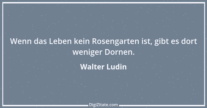 Zitat von Walter Ludin 443