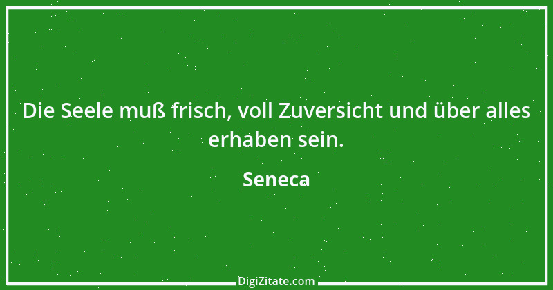 Zitat von Seneca 79