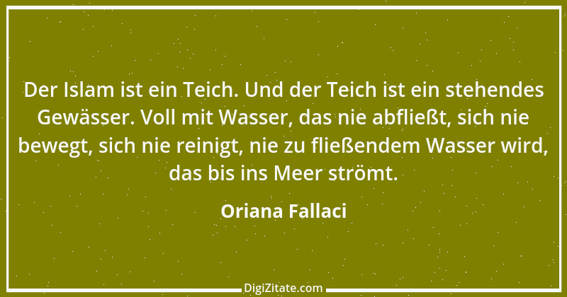 Zitat von Oriana Fallaci 7