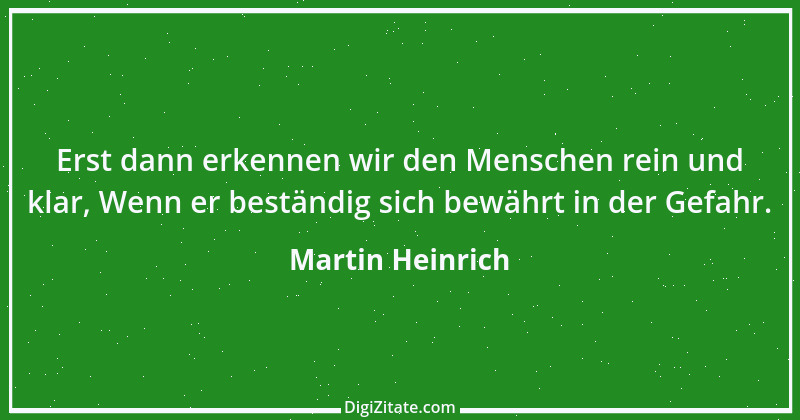 Zitat von Martin Heinrich 97