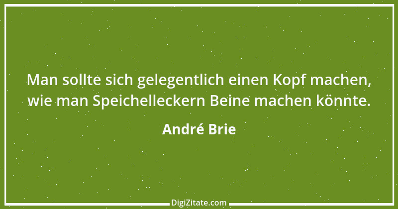 Zitat von André Brie 228