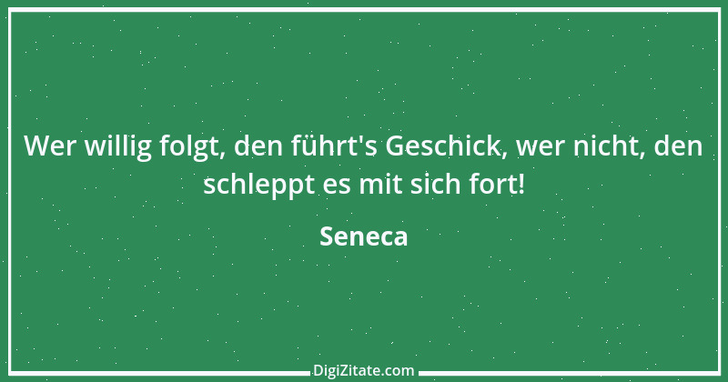 Zitat von Seneca 83