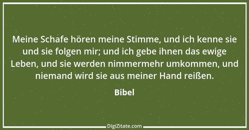 Zitat von Bibel 1983