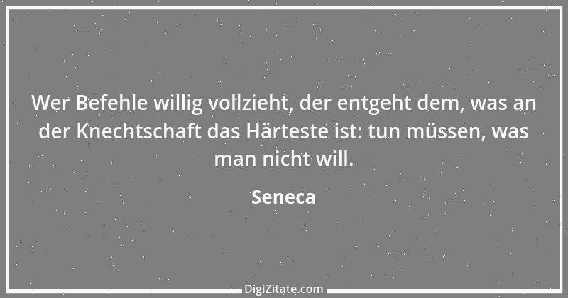 Zitat von Seneca 84