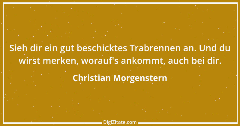 Zitat von Christian Morgenstern 472