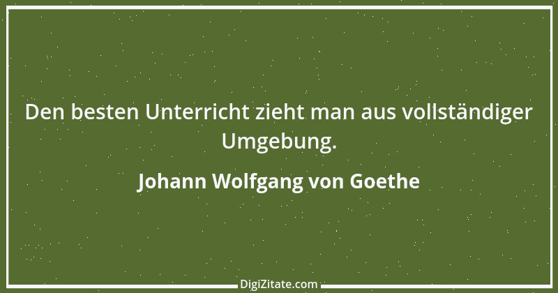 Zitat von Johann Wolfgang von Goethe 2950