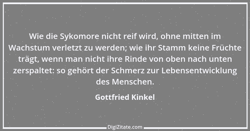 Zitat von Gottfried Kinkel 23