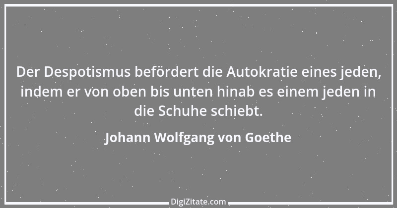 Zitat von Johann Wolfgang von Goethe 3954