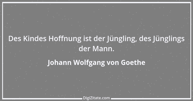 Zitat von Johann Wolfgang von Goethe 955