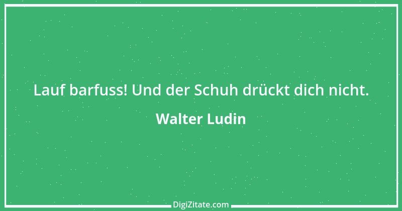 Zitat von Walter Ludin 1459