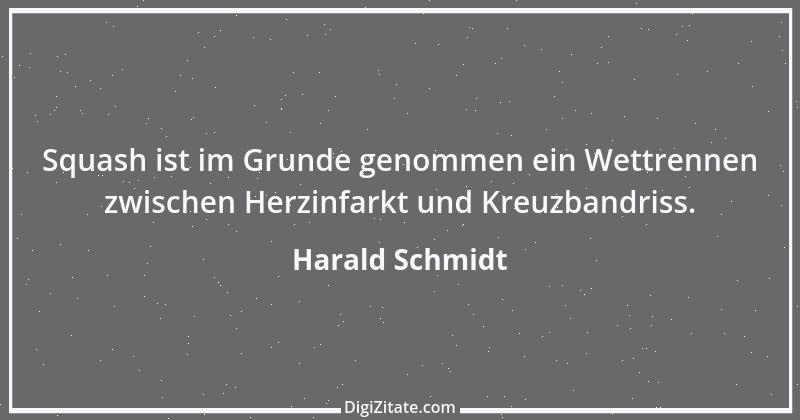 Zitat von Harald Schmidt 276