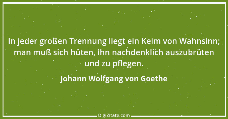 Zitat von Johann Wolfgang von Goethe 2958