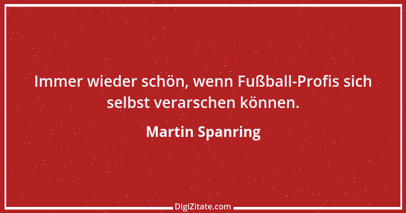 Zitat von Martin Spanring 1