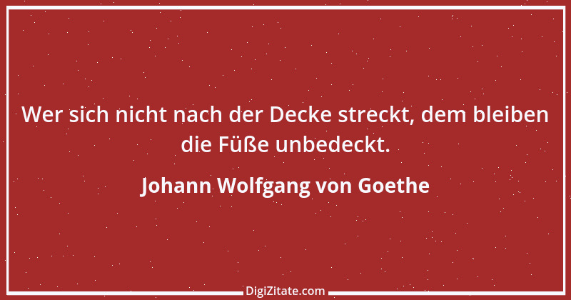 Zitat von Johann Wolfgang von Goethe 959