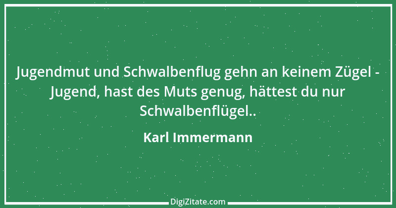 Zitat von Karl Immermann 25